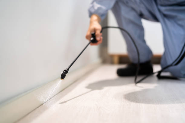 Licensed Pest Control service in Minersville, PA - Show Me Pest Control